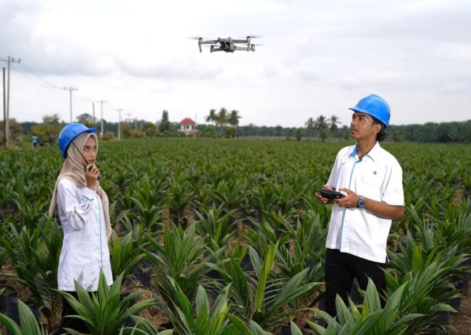 Holding Perkebunan Nusantara Percepat Transformasi Digital, PalmCo Sertifikasi Operator Drone Perkuat Sistem Pemantauan Kebun
