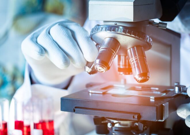 Prodia Hadirkan Advanced Lipid Profile dengan Report   Komprehensif, Bantu Masyarakat Pahami Arti di Balik Angka Kolesterol