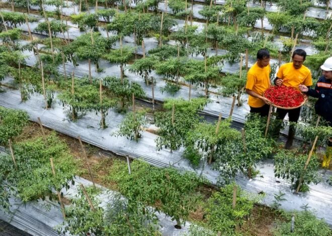 Ketika Mantan PETI Bersama-sama Membangun Pongkor