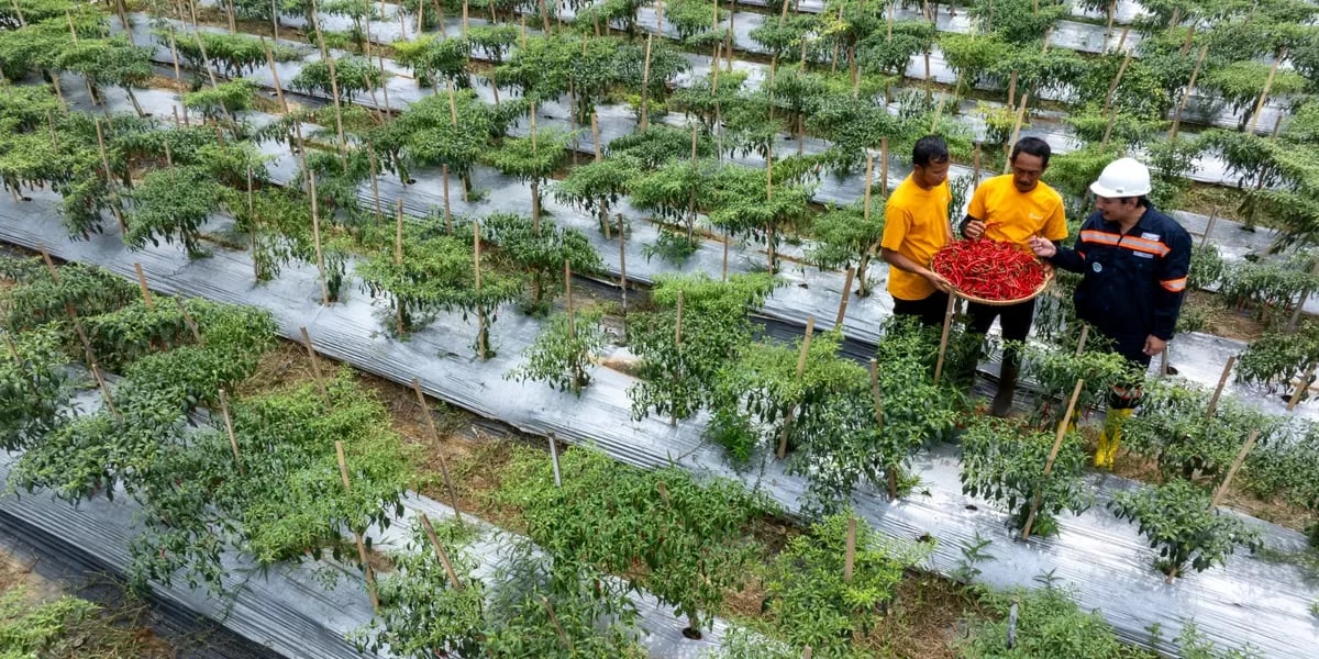 Ketika Mantan PETI Bersama-sama Membangun Pongkor
