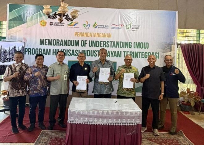 Holding Perkebunan Nusantara Akselerasi Ketahanan Pangan, PTPN I Bangun Ekosistem Terintegrasi di Bone