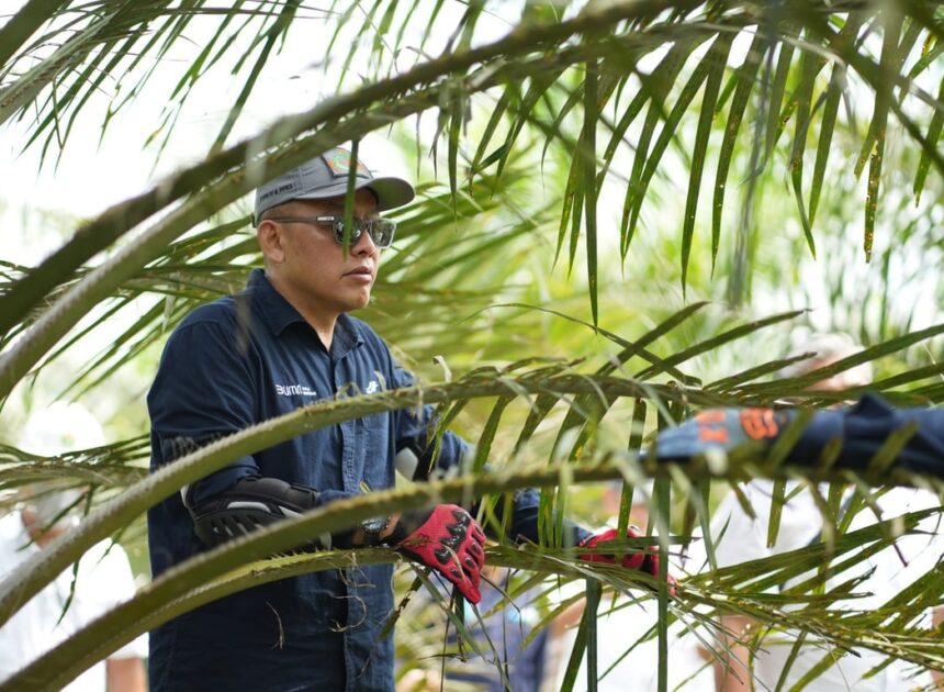 Holding Perkebunan Nusantara Siaga Hadapi Kemarau, PalmCo Perkuat Deteksi Dini Karhutla dan Strategi Agronomi