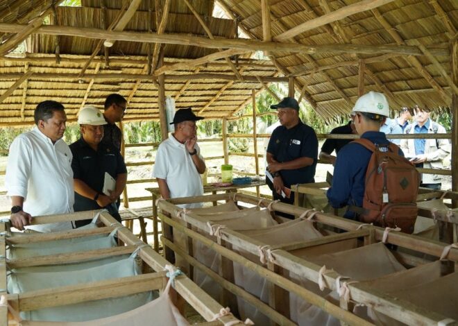 Perkuat Strategi Peningkatan Produksi dan Pengamanan Aset, Operational Strategic Advisory PTPN III (Persero) Kunjungi PTPN IV Regional VII