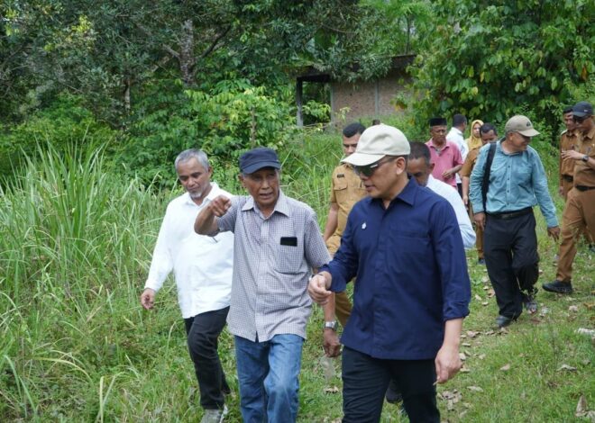 Didorong Kementan, Holding Perkebunan Nusantara Percepat Hilirisasi Gambir Nasional