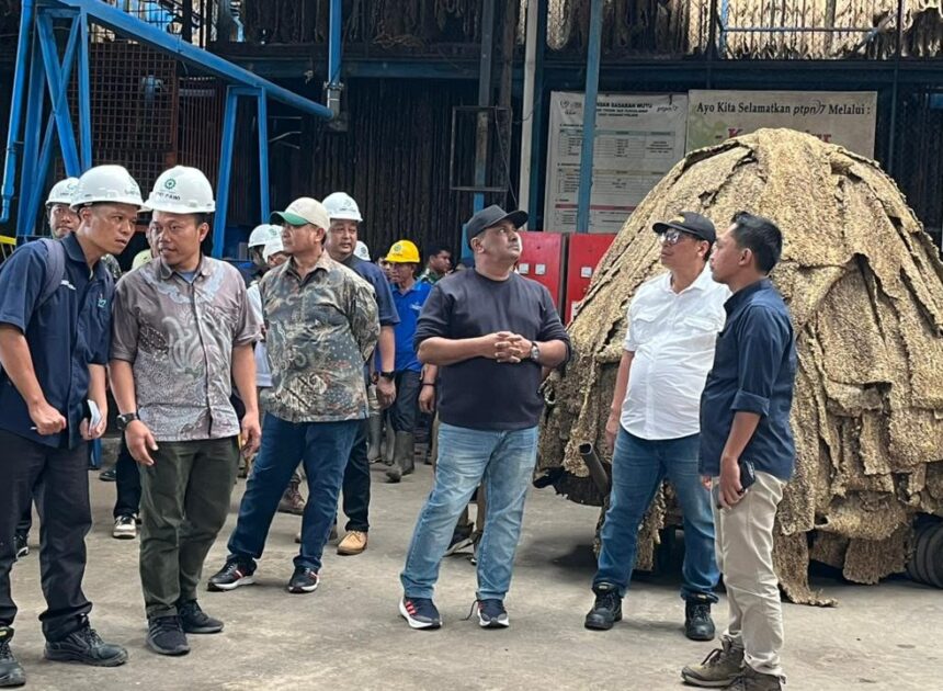 Holding Perkebunan Nusantara Perkuat Produktivitas Karet, PTPN I Fokus Benahi Kebun Padang Pelawi