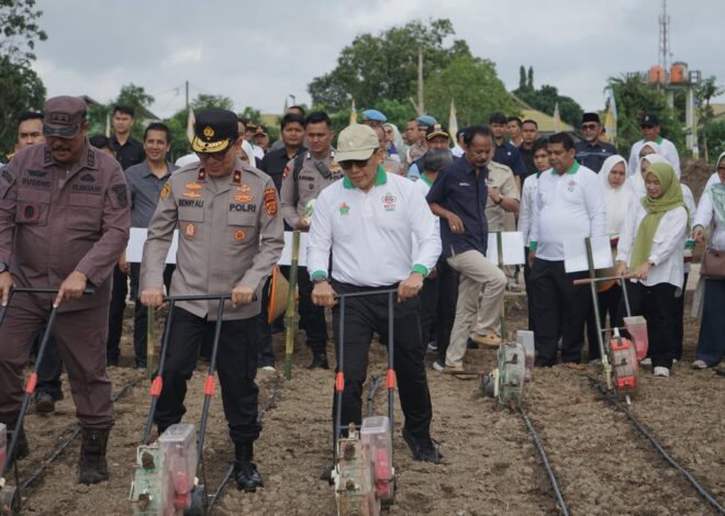 Dukung Ketahanan Pangan, Holding Perkebunan Nusantara Lewat PalmCo Perkuat Kemitraan Petani di Jambi