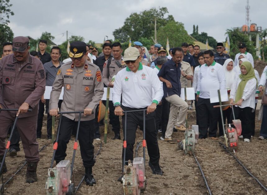 Dukung Ketahanan Pangan, Holding Perkebunan Nusantara Lewat PalmCo Perkuat Kemitraan Petani di Jambi