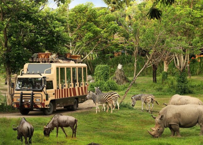 Taman Safari Indonesia Siap Dukung Transformasi Kebun Binatang Bandung sebagai Lembaga Konservasi Modern