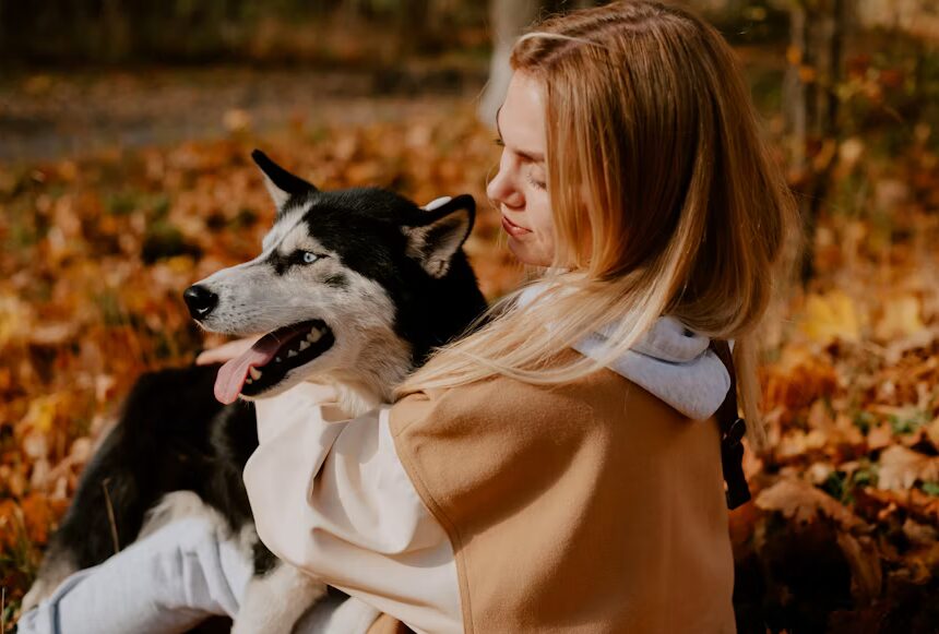 Sering Dianggap Mirip Serigala, Ini Fakta Menarik tentang Anjing Husky