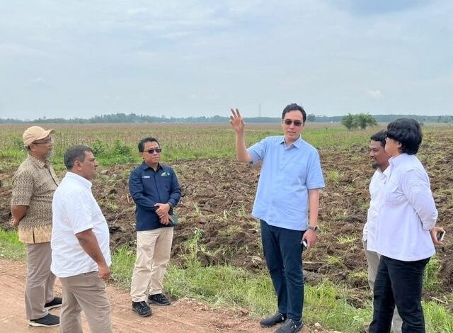 Dukung Program Mandiri Energi Nasional, Holding Perkebunan Nusantara Siapkan 10 Ribu Hektare Lahan Singkong di Lampung