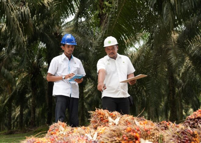 Holding Perkebunan Nusantara Perkuat Daya Saing SDM, PalmCo Targetkan 5.120 Sertifikasi Kompetensi
