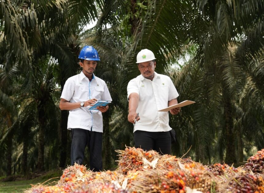 Holding Perkebunan Nusantara Perkuat Daya Saing SDM, PalmCo Targetkan 5.120 Sertifikasi Kompetensi