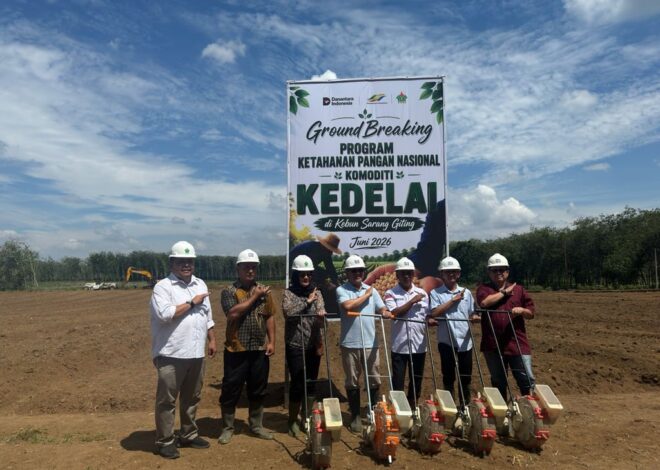 PTPN IV PalmCo Matangkan Pilot Project Kedelai Dukung Percepatan Swasembada Pangan Nasional